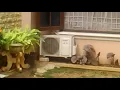 Download Lagu Sharp Air conditioner outdoor unit