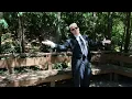 TomCattt - Lucky Man (Official Music Video)