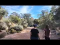 Boyce Thompson Arboretum A Hidden Gem In Superior Arizona
