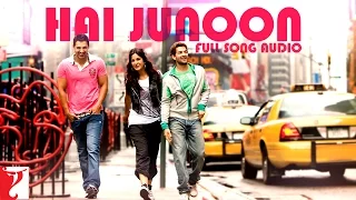 audio hai junoon full song new york kk pritam sandeep shrivastava