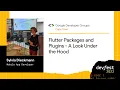 DevFest SA 2022 Sylvia Dieckmann Flutter Packages and Plugins - A Look Under the Hood