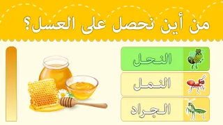 ثقف طفلك   مسابقات تعليمية للأطفال   أسئلة متنوعة   أسئلة و أجوبة للأطفال               دندنها