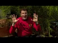 12345 Once I Caught A Fish Alive 🐠 Kids Counting Songs 🔢  Nursery Rhymes 🎵 The Wiggles