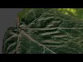 Unity 3D Tutorial - Fire Mouse