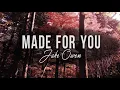Jake Owen - Made For You (With Lyrics)
