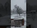 Another Snow Day In Brandywine Maryland