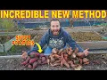 This REVOLUTIONARY Way Of Curing SWEET POTATOES Changes Everything