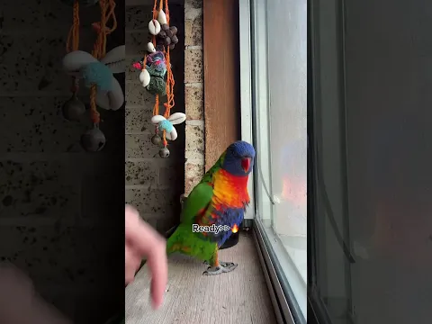 Gen Z animals are Different 🔥