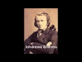 Johannes Brahms, String Sextet No. 2 G-major, L'Archibudelli