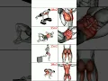 Download Lagu #video #youtube #exercises #fitness #cartoon