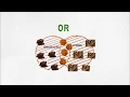 Search Strategy 4 - boolean operators