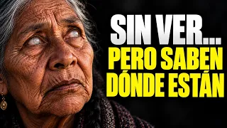 ¿Cómo encuentran el camino sin poder ver?