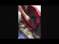How to Replace your Lawn Mower Blade - Toro Recycler Lawn Mower