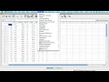 SPSS toolbar 1 2