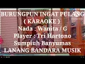 Download Lagu BURUNGPUN INGAT PULANG, KARAOKE, TRI HARTONO, LANANG BANDARA MUSIK