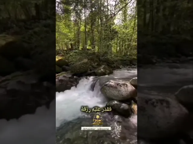 ⁣فأما الإنسان إذا ما ابتلاه ربه || القارئ حيدر محسن البزوني