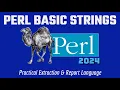 Perl Programming Basics Getting Started Beginners Guide Working with Strings 2024