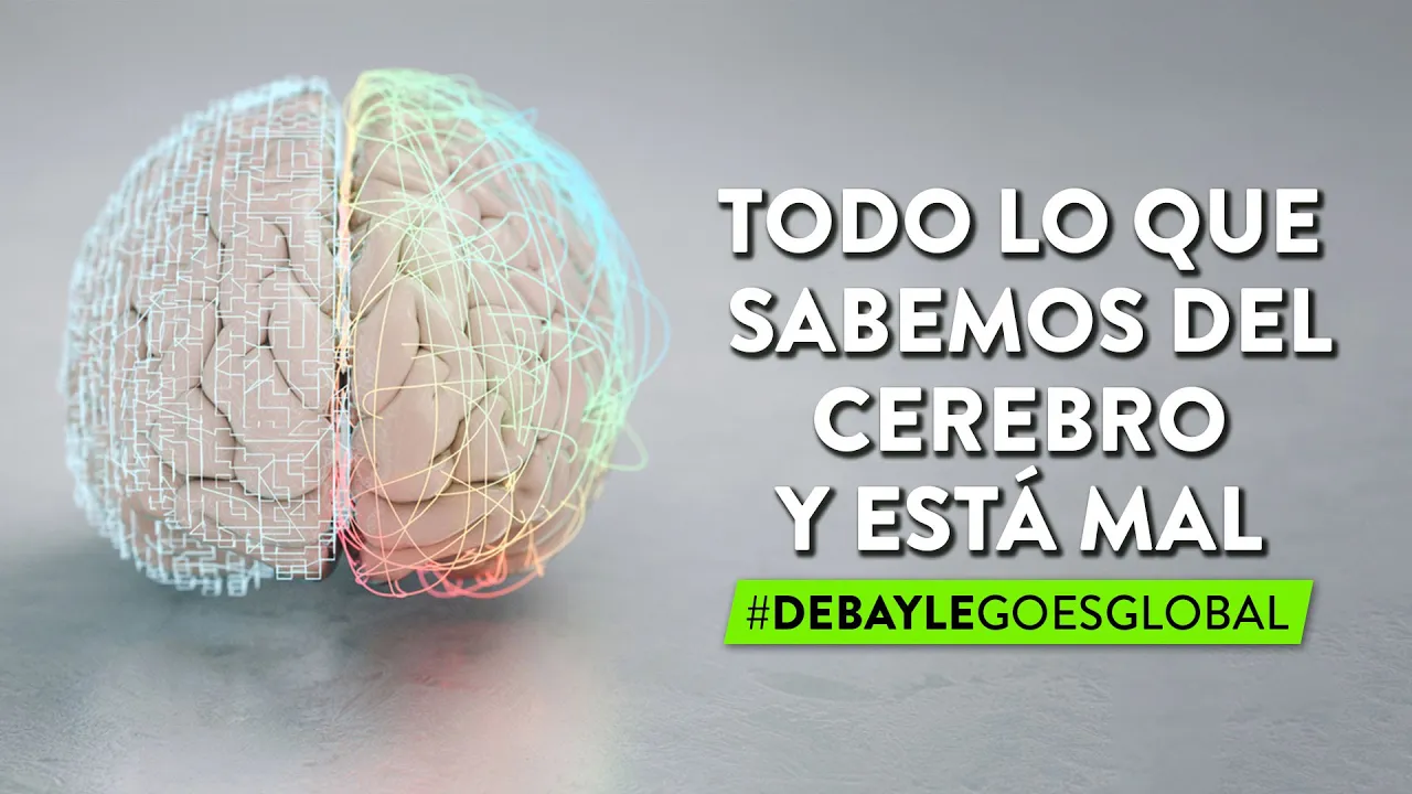 Todo lo que sabíamos del cerebro y está mal | Martha Debayle