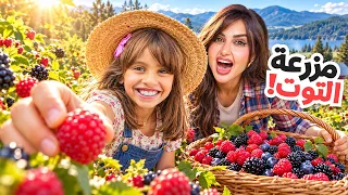 رحلتنا لمزرعة التوت الكبيره | اصعب مهمه سويناها  !!