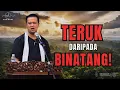 Download Lagu SYAMSUL DEBAT | TERUK DARIPADA BINATANG!