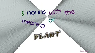 plant - 5 nouns synonym to plant sentence examples