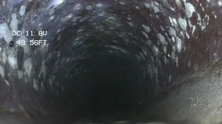 20250613 2113 Kensington Dr Sewer scope scan