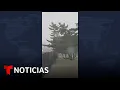 Alertan a mas de 15 estados por bomba ciclonica Noticias Telemundo