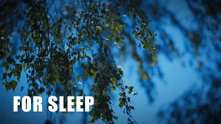 Mylah: 12 Hours of Sleep Piano Music