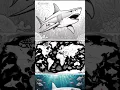Shark coloring pages
