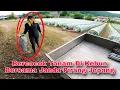 Download Lagu Kerja Dengan Janda Pirang Jepang Sambil Bercocok Tanam