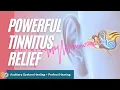 Download Lagu ❉ Tinnitus Relief ~ Auditory System Healing + Perfect Hearing ~ Relaxing Ocean Sounds