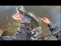 Download Lagu DEZE MONSTERSNOEK GLIPT ZO UIT MIJN HANDEN!😨