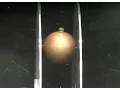 Capacitor Charge Demo Oscillating Ball