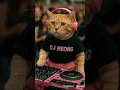 Download Lagu DJ Meong #djmeong #catdance #kucinglucu #kucingjoged
