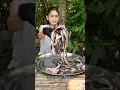 Download Lagu Yummy Recipes - Mouthwatering Snake Curry You’ll Love! #Curry #snake #CookSnake #snakevideo