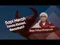 Sapi Merah Tanda Kiamat, Benarkah? - Buya Yahya Menjawab