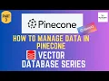 Manage Data in Pinecone Part 3 Pinecone Index Operations Semantic Search in Pinecone