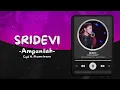 Download Lagu SRIDEVI - AMPUNILAH LIRIK (Cipt.H Rhoma Irama)