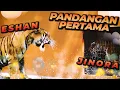 Download Lagu REAKSI ESHAN DAN JINORA KETIKA MEREKA PERTAMA KALI BERTEMU