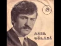 Download Lagu Asik Gulabi - Hangi dagin ardindasin sevdigim    KuRSaD