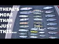 My Swimbait Collection Is Insane I Might Have A Problem