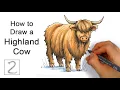 How to Draw a Highland Cow Colored Marker Tutorial