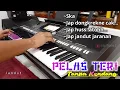 PELAS TERI ~ Tanpa Kendang | Music by Pak Takin | aZkia naDa