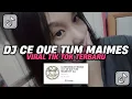 Download Lagu DJ BREAKBEAT WARGA +62 X CE QUE TUM MAIMES FT ALL VIRAL TIK TOK TERBARU 2024