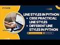Line Graph with Different Styles in Python plot Function Matplotlib CBSE IP CS