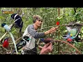 Download Lagu MIKAT BURUNG DI SPOT YANG BELUM PERNAH DI PIKAT, DAPAT BURUNG ANEH-ANEH, BERSAMA SUHU PIKAT!!!