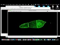 How to process a z-stack image into a 2D image in ImageJ How to process confocal microscope images