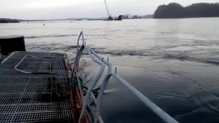 Winter liveaboard Tofino, BC 🇨🇦 preparing to convert to electric! – Sailing Oka Solo