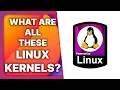 LINUX KERNEL variants explained Zen Xanmod TKG RealTime Liquorix