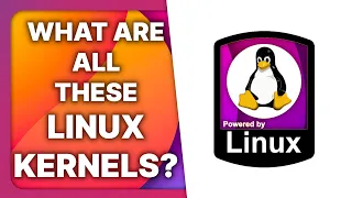LINUX KERNEL variants explained Zen Xanmod TKG RealTime Liquorix